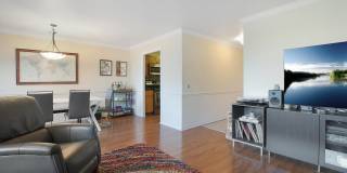 1555 N Sandburg Terrace Gallery 5