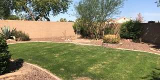 2352 S 162nd Lane Gallery 48