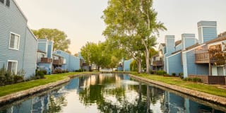 Lantern Cove Gallery 4