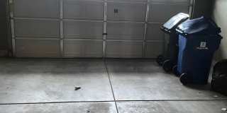 2755 Blakely Lane Gallery 17