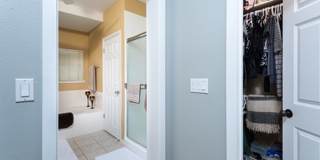 Coconut Plantation Gallery 15