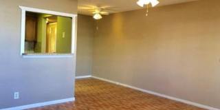 91 Ventnor Gallery 6