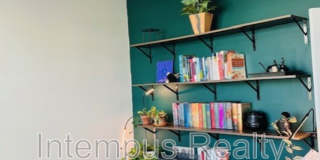 260 Winter Shadow Loop Gallery 6