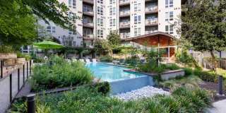 Korina and Alder at The Grove Korina and Alder at The Grove Gallery 2