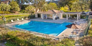 629 N Buttonbush Gallery 1