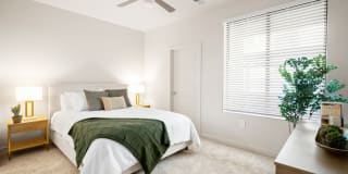 Acero on Roosevelt Gallery 9