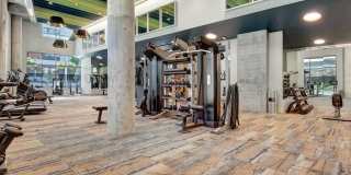 The Ardea Apartments Gallery 6