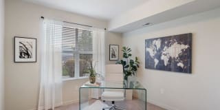 The Crossings at Chapel Hill Gallery 12