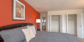 Rollingwood Gallery 13