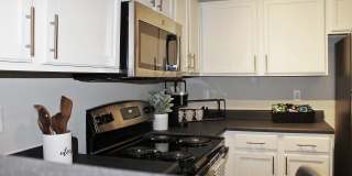 Centennial Village Gallery 4