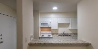 Biltmore Biltmore Gallery 16