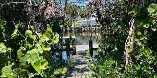 727 Hummingbird Way Gallery 10