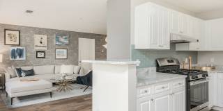 Essex Apartments Gallery 3