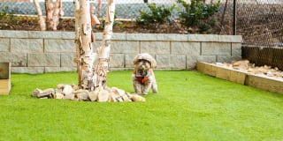 Greenside Gallery 32