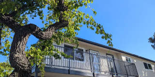 5204 Shenandoah Street Gallery 1