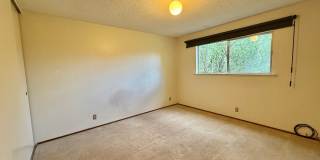 Los Gatos - Inviting Los Gatos Home with Classic Charm & Entertainer’s Backyard Gallery 16