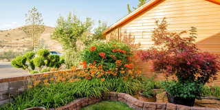 One of a kind Furnished Home with gorgeous back yard! Gallery 5