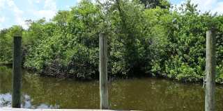 8609 DRIFTWOOD DRIVE Gallery 42