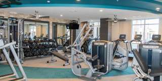 Sawmill Point Gallery 23