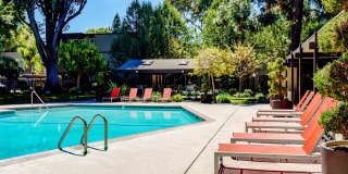 The Grove The Grove Gallery 1