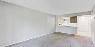 2955 Dove Haven Court Gallery 10