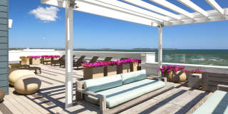 Ocean 650 Gallery 4