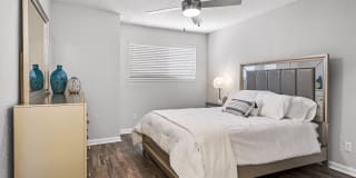 Amp at the Grid Gallery 21