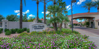 San Palmilla by Mark-Taylor Gallery 4