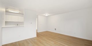 Driftwood Gallery 30