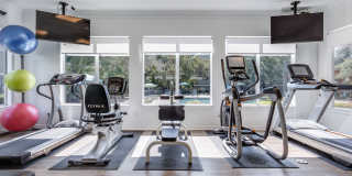 Sycamore Springs Gallery 17