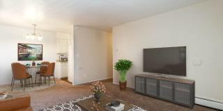 Z53 Apartments Gallery 14