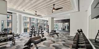 Josephine Gallery 23