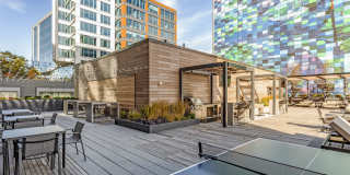 The Harlo Gallery 38