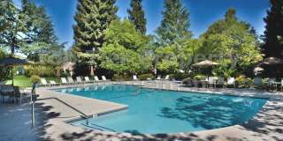 Very nice 2 bed / 2.5 bath / 1,185 sqft Walnut Creek Townhouse in desirable Main Chance Estates Development available now for lease! Gallery 16