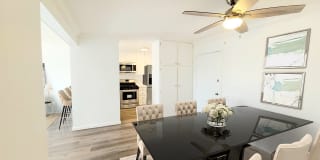 Annandale Terrace Gallery 3