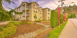 Valley Springs Gallery 6