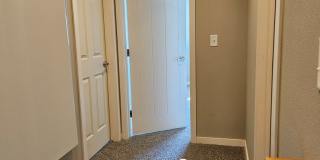 JE181 Gallery 17