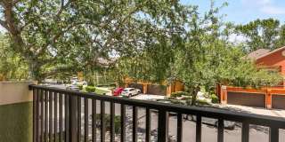 3310 PINE OAK Trail Gallery 22