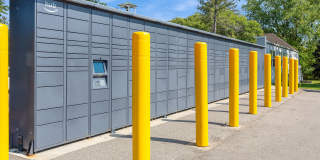 ReNew Woodland North and South Gallery 49