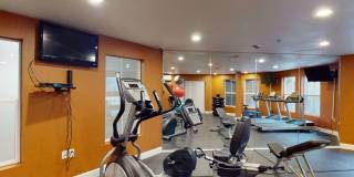 Citifront Gallery 13