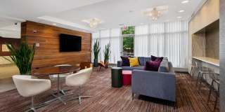 Reside on Barry Gallery 14