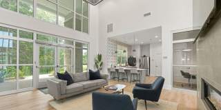 Courtney Ridge Gallery 24