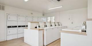 San Rivello Gallery 6