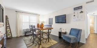 Sawmill Park Gallery 5