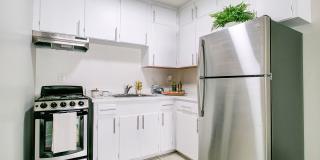 The Elizabeth Gallery 1