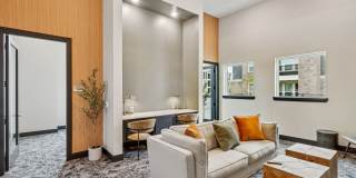 Virtuo Spring Gallery 11