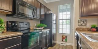 Park at Briggs Ranch Gallery 5