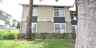 Bright 3 bed 2 bath Condo in San Jose - 2583 Gimelli Way #74 Gallery 35