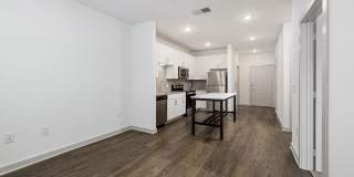 Arlow at Blue Ridge Gallery 23