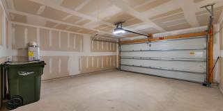 332 Elephants Ear Gallery 20